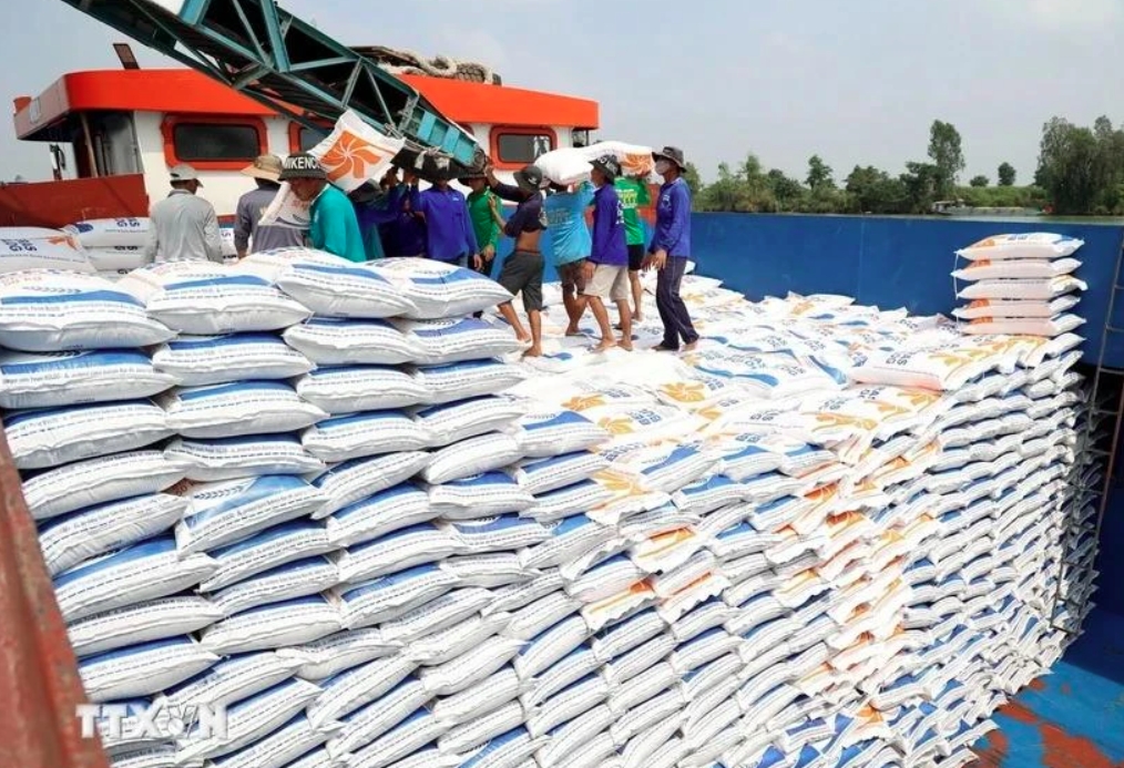 Indian expert suggests ways for Vietnam to boost rice exports